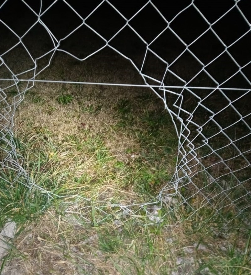 Inseguridad en barrio Los Sauces: hubo al menos 5 robos el ltimo mes